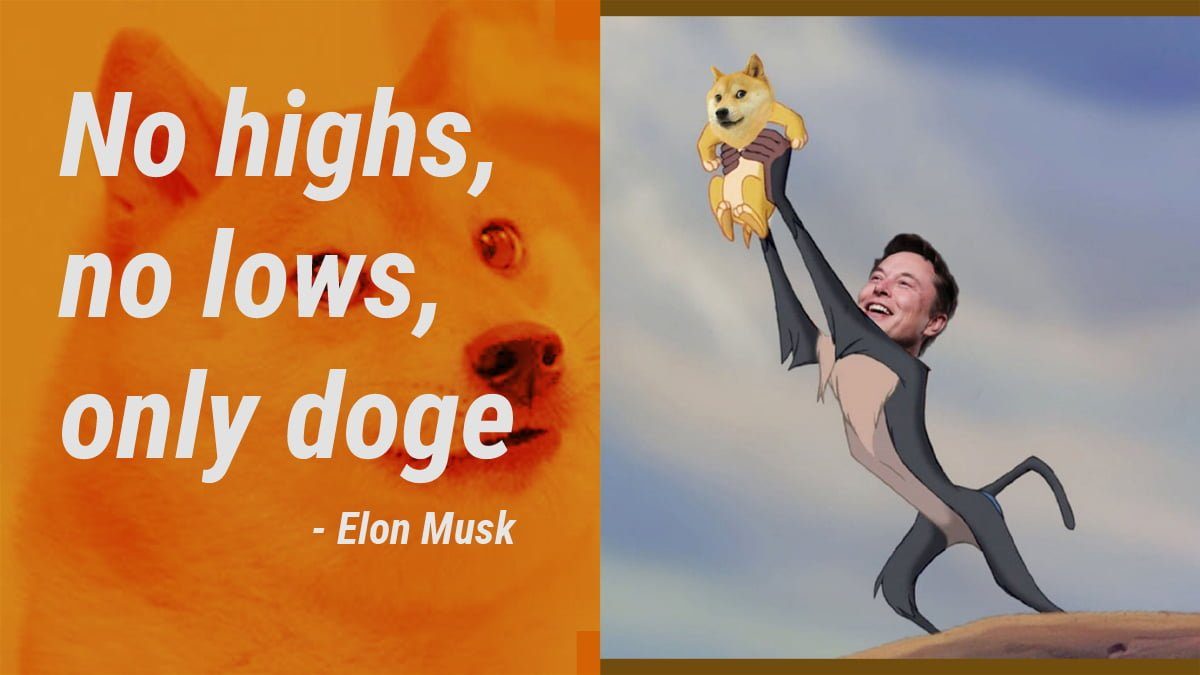How high will Doge rise?