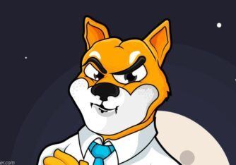 How to buy Shiba Inu coin in India