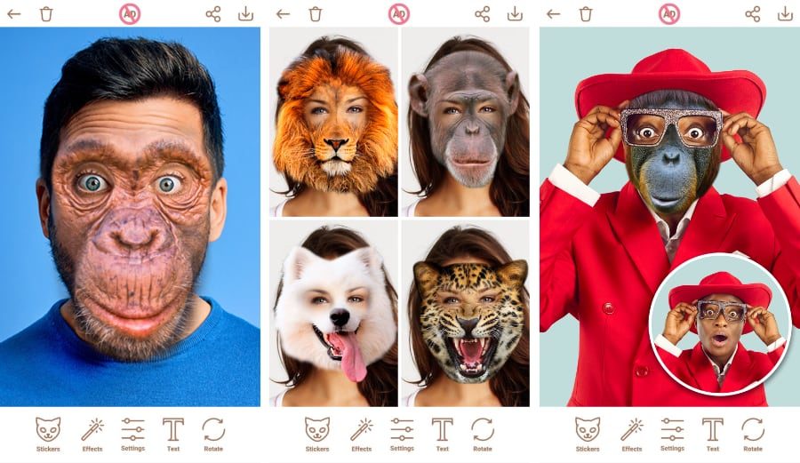 Animal Face Changer on Play Store